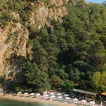 Yazz Collective Hotel