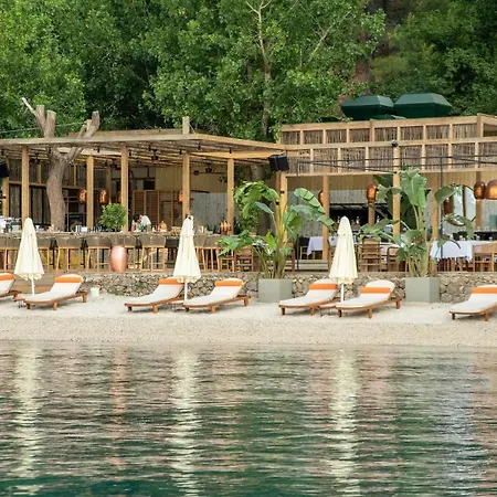 Yazz Collective Belen (Fethiye)
