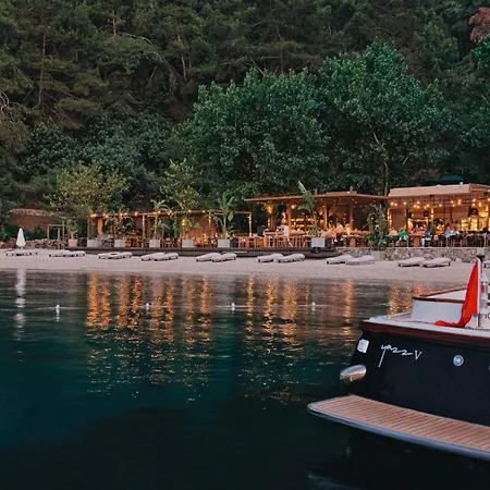 Yazz Collective 酒店