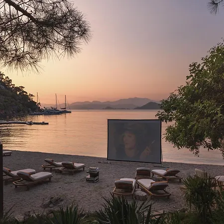 Yazz Collective 酒店