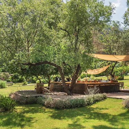 Yazz Collective 酒店 费特希耶