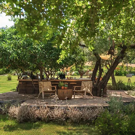 酒店 Yazz Collective 费特希耶