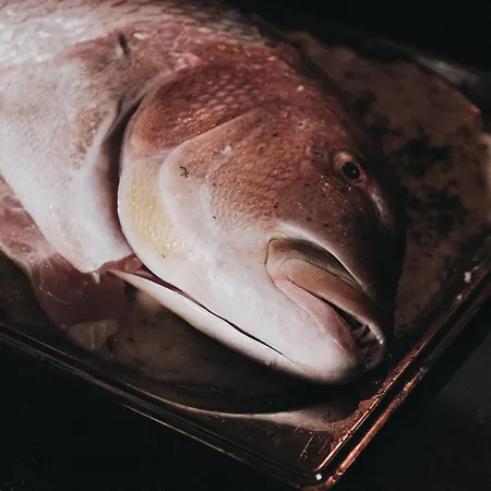 酒店 Yazz Collective *