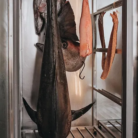 Yazz Collective 酒店