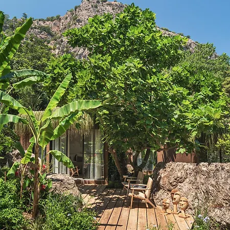 酒店 Yazz Collective 费特希耶