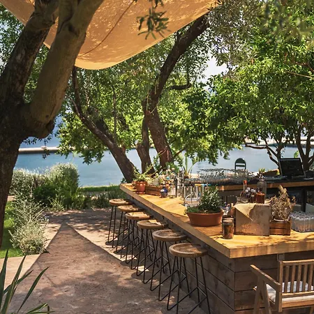 Yazz Collective 费特希耶