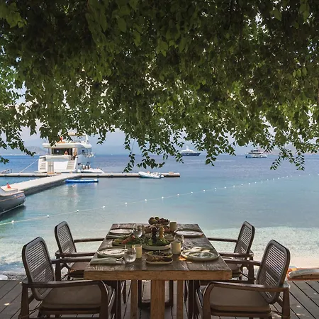 Yazz Collective Hotell *