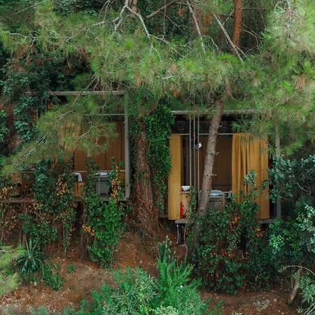 Yazz Collective 酒店 费特希耶