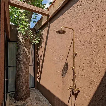 Yazz Collective * 费特希耶