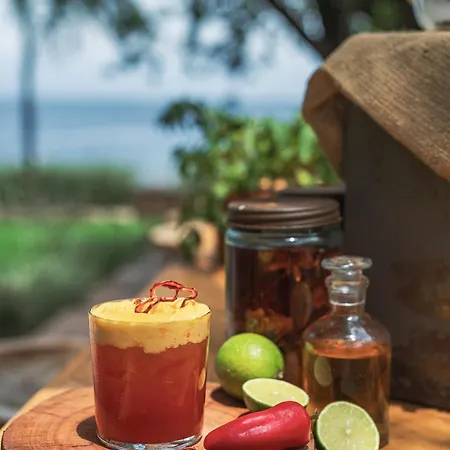 Yazz Collective 费特希耶