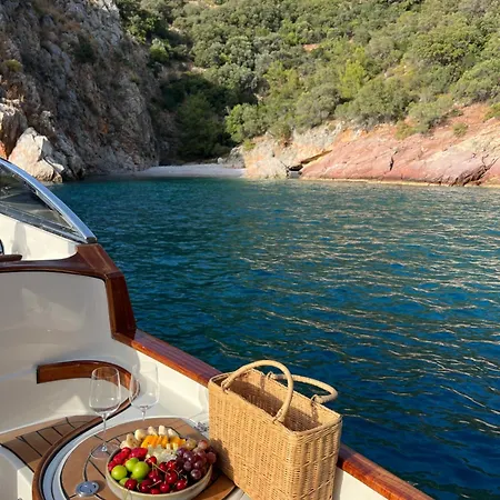 Yazz Collective * 费特希耶