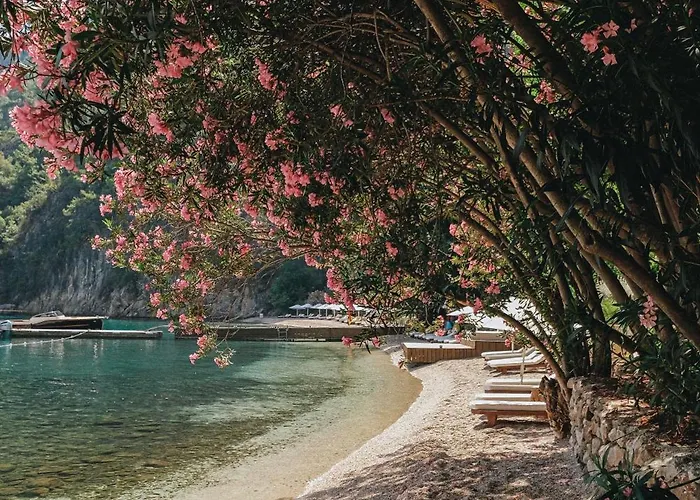 فندق Yazz Collective فتحية