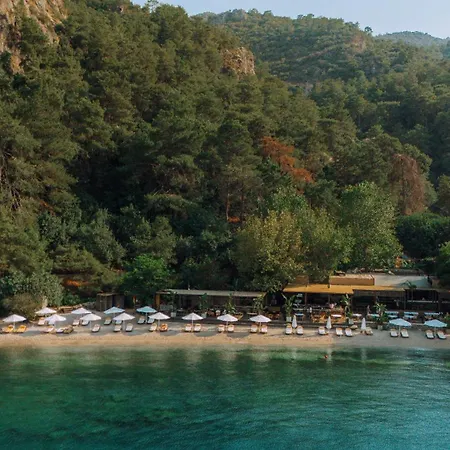 Yazz Collective Otel