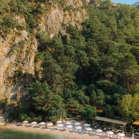 Yazz Collective מלון