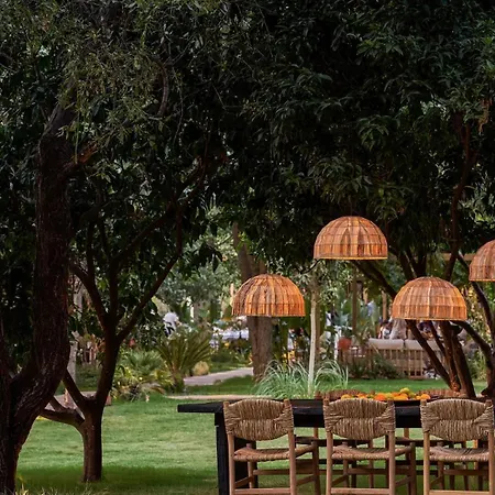 Yazz Collective מלון