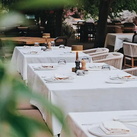 Yazz Collective מלון *