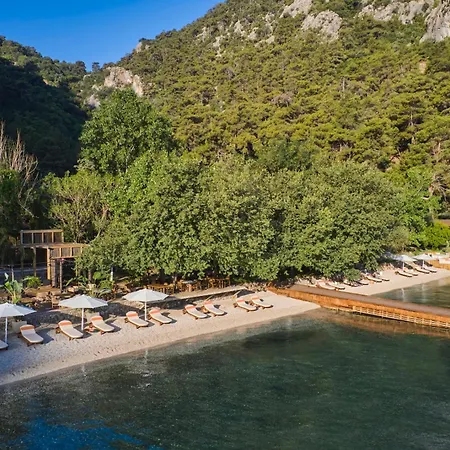 Yazz Collective Belen (Fethiye)