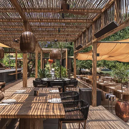 Yazz Collective * פאטהיה