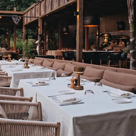 Yazz Collective פאטהיה