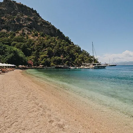 מלון Yazz Collective