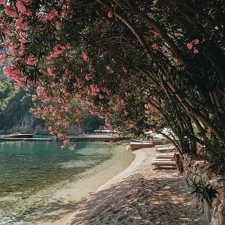 Otel Yazz Collective Fethiye