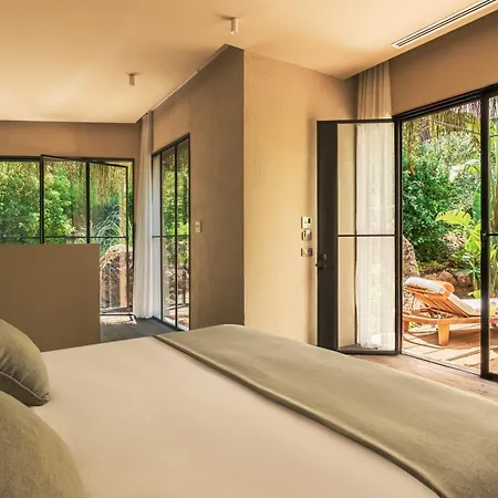 Yazz Collective פאטהיה