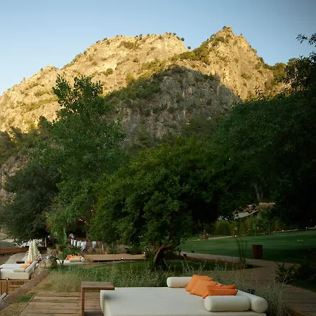 Yazz Collective Hotel *
