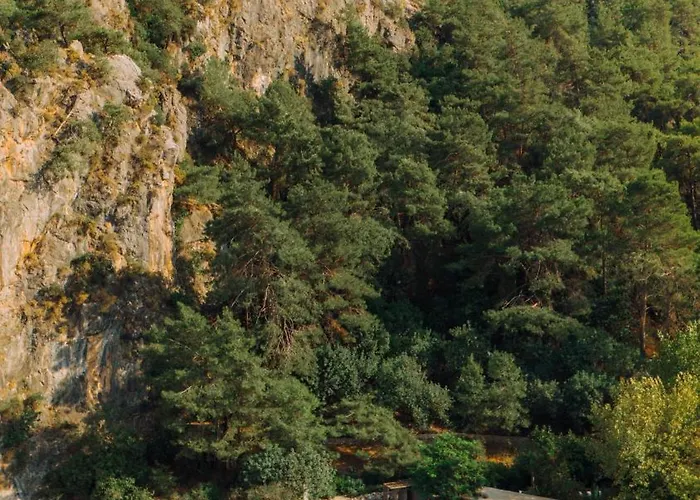 Yazz Collective Отель